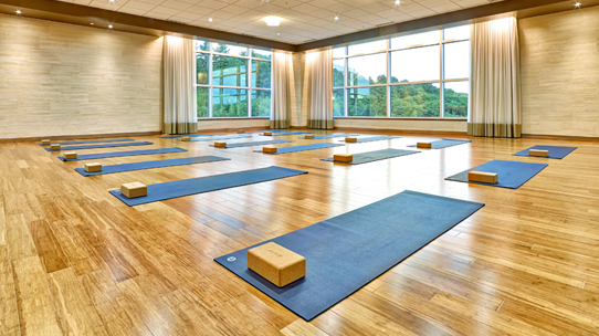 A well lit Life Time Yoga Studio with yoga mats and bricks laid out